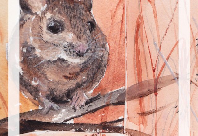 Willem Claesen - Paulien, Neoclassical music genre, Nagamag Magazine