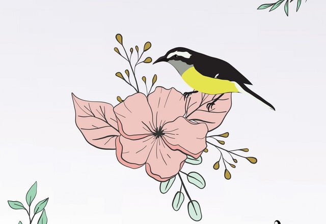 Cahelo - Elsewhere (Remix by DSF), House music genre, Nagamag Magazine