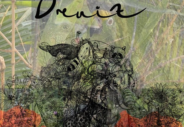 DruiZ - A Donde (Fauna), Jazz music genre, Nagamag Magazine