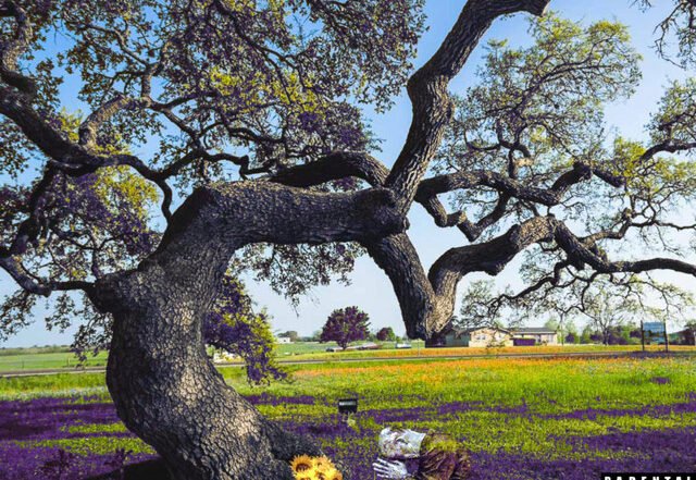 Jay - Ego Death, Hip Hop music genre, Nagamag Magazine