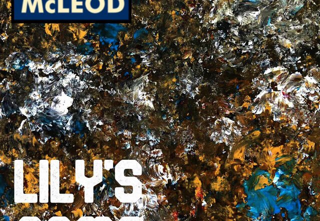 Jon McLeod - Lily's Game, Rock music genre, Nagamag Magazine
