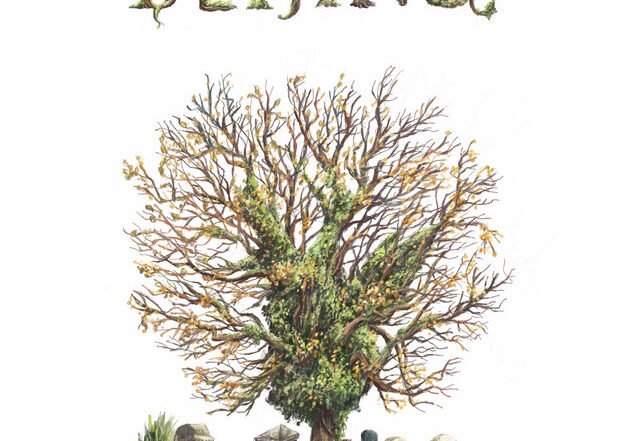 LINEBUG - Beijing, Pop music genre, Nagamag Magazine