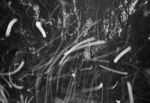 Neil Foster - Still Point, Neoclassical music genre, Nagamag Magazine