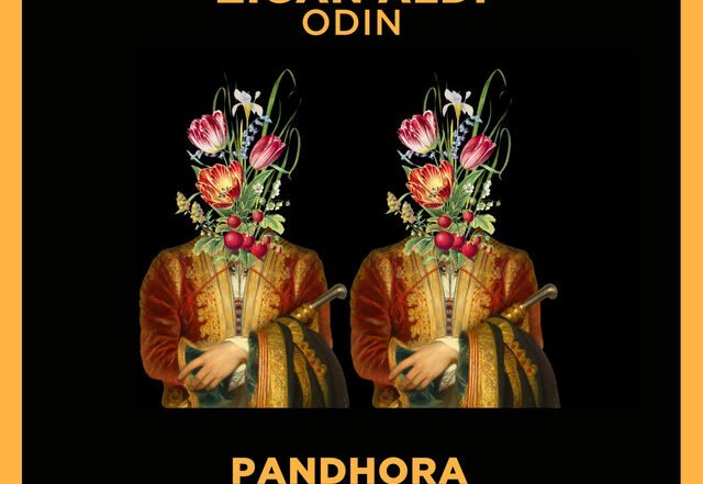 Zigan Aldi - Odin (Remix by Pandhora), House music genre, Nagamag Magazine