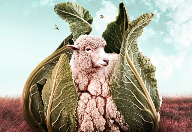 Alta Falls - Tried To Forget About, Pop music genre, Nagamag Magazine