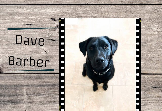 David Barber - Molly Eye's, Jazz music genre, Nagamag Magazine