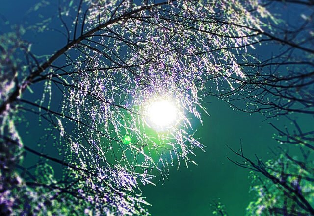 Michael Koch - Frühlingserwachen, Neoclassical music genre, Nagamag Magazine