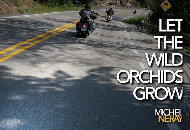 Michel Neray - Let The Wild Orchids Grow, Rock music genre, Nagamag Magazine