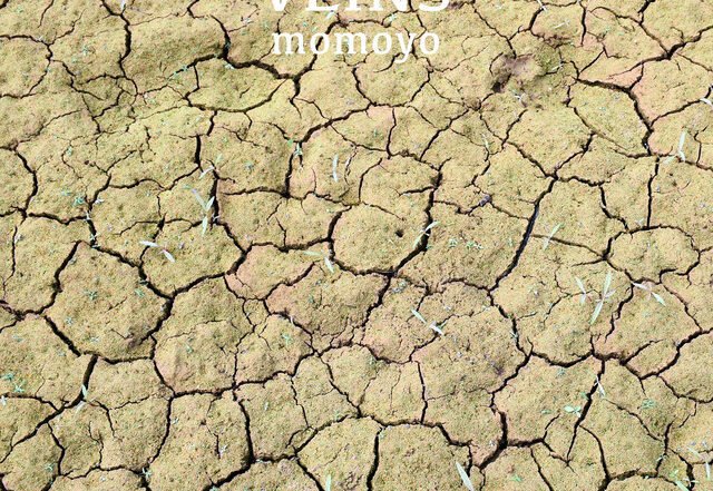 momoyo - Veins, Pop music genre, Nagamag Magazine