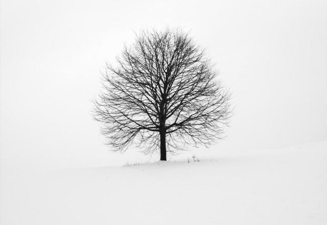 Rokhe - Breathe in the snow, Neoclassical music genre, Nagamag Magazine