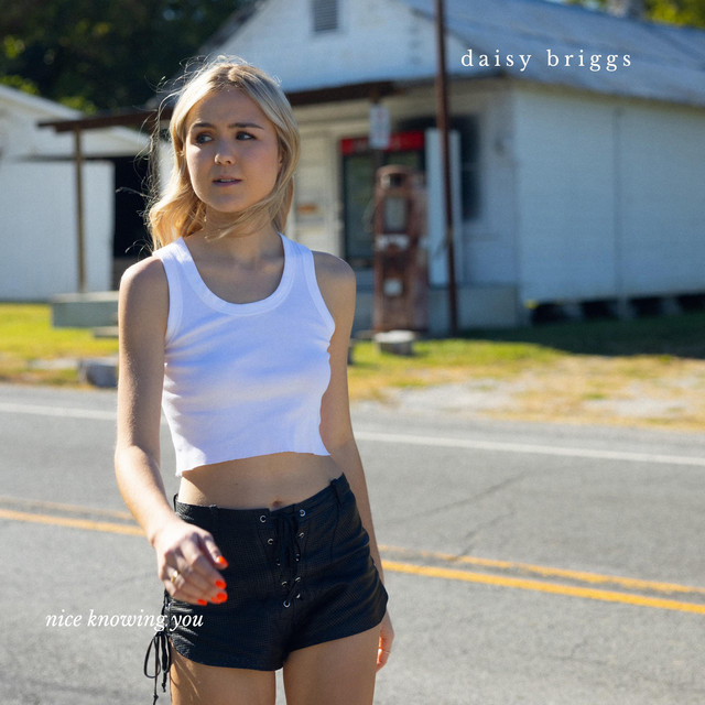 Daisy Briggs - Nice Knowing You, Pop music genre, Nagamag Magazine