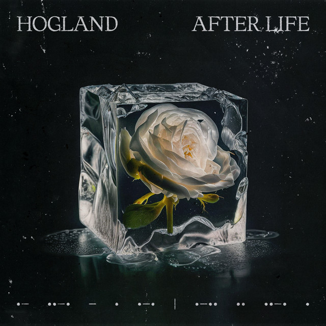 Hogland - After Life, EDM music genre, Nagamag Magazine