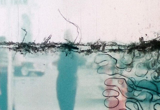 Laura Wolf - Paper and Plastic, Pop music genre, Nagamag Magazine