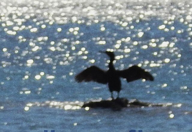 Matteo Franchi - Dive or fly, Jazz music genre, Nagamag Magazine