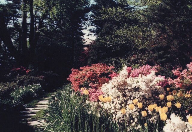 Olive Louise - Moroccan Oranges, Pop music genre, Nagamag Magazine