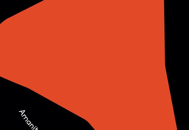 Sergio Díaz De Rojas - Amanita Muscaria, Neoclassical music genre, Nagamag Magazine