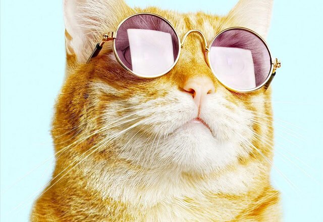 Sophia Streams x Alex Kyhn - Why Can't You Be More Like Me?, Jazz music genre, Nagamag Magazine