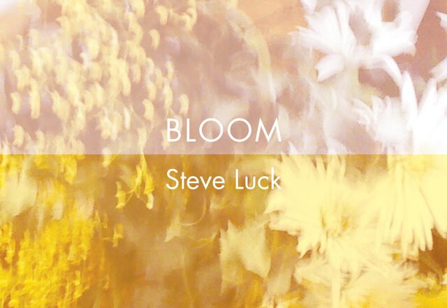 Steve Luck - Bloom, Neoclassical music genre, Nagamag Magazine