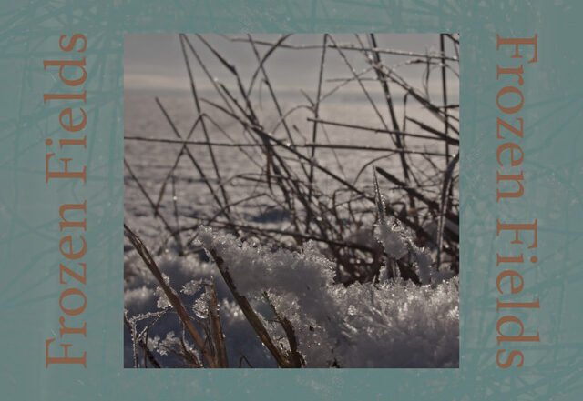 BRØK - Frozen fields (feat. Jacob Bredahl Djursaa, Thomas Fryland, Niklas Gjersøe & Hans Kristian Knold), Jazz music genre, Nagamag Magazine