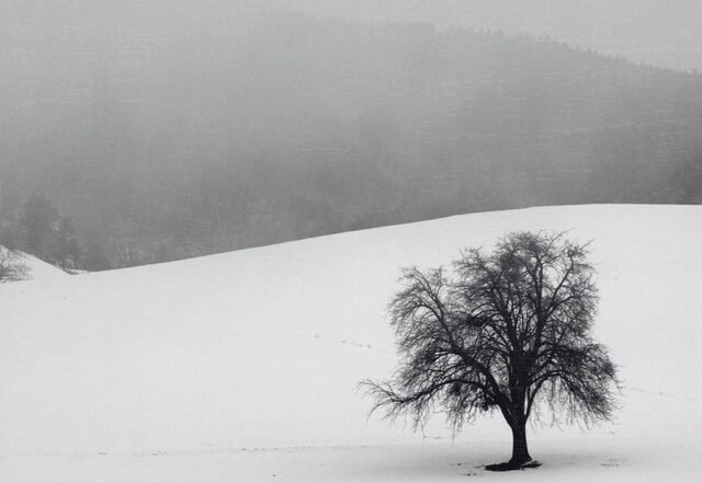 Camron Shahidi - Soledad, Neoclassical music genre, Nagamag Magazine