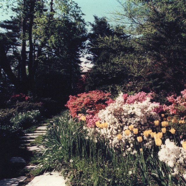 olive-louise-garden-nagamag-music-magazine Olive Louise – Garden