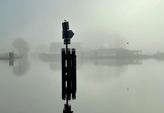 Sterlatone - Fought an Angel, Jazz music genre, Nagamag Magazine