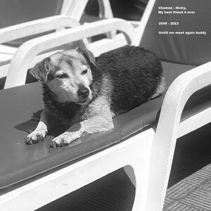 Chamon - Nicky, My Best Friend 4 Ever | Jazz music review, Jazz music genre, Nagamag Magazine