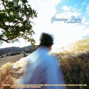 Dawson Fuss - Growing Pains | Pop music review, Pop music genre, Nagamag Magazine