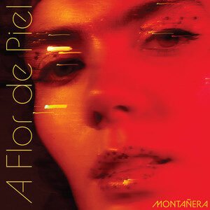 Montañera - Tú - El Borde de Mi Arista | Pop music review, Pop music genre, Nagamag Magazine