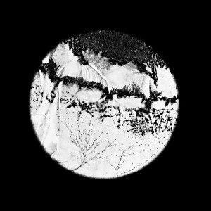 Christine Ott - Pluie d'arbres | Neoclassical music review, Neoclassical music genre, Nagamag Magazine