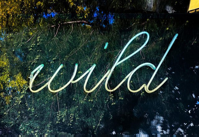 Daniel Isaiah - Wild Life | Rock music review, Rock music genre, Nagamag Magazine