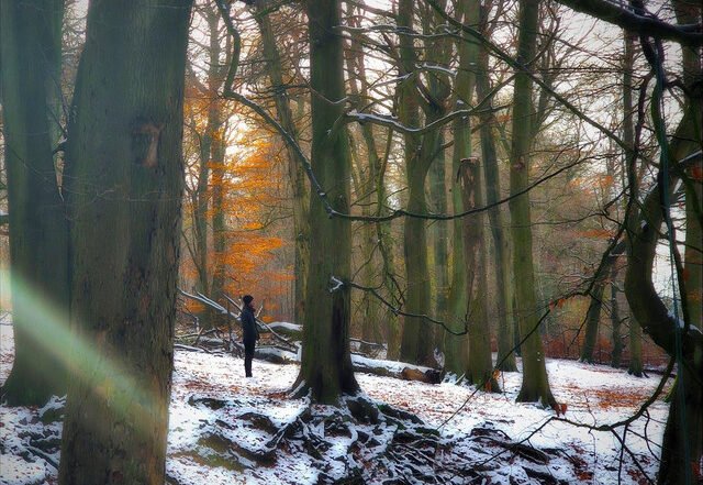 Michael Richardson - Decay | Neoclassical music review, Neoclassical music genre, Nagamag Magazine