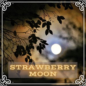 ynana-rose-strawberry-moon-rock-music-review-nagamag-music-magazine Ynana Rose – Strawberry Moon | Rock music review