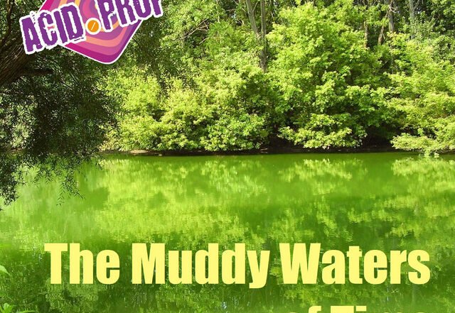 Bobby Wallisch Jr. & Acid.Prof - The Muddy Waters of Time | Rock music review, Rock music genre, Nagamag Magazine