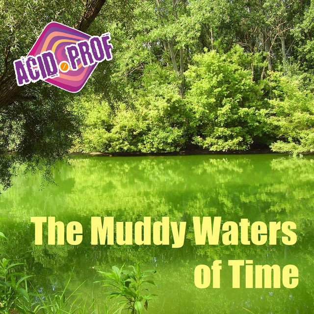 Bobby Wallisch Jr. & Acid.Prof - The Muddy Waters of Time | Rock music review, Rock music genre, Nagamag Magazine