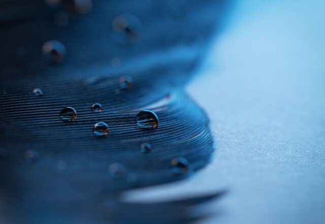 Liam Phan -  Particles | Neoclassical music review, Neoclassical music genre, Nagamag Magazine