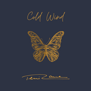 Teni Rane - Cold Wind (Ghost) | Rock music review, Rock music genre, Nagamag Magazine