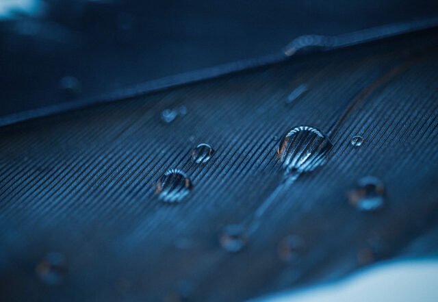 Liam Phan - Grains | Neoclassical music review, Neoclassical music genre, Nagamag Magazine