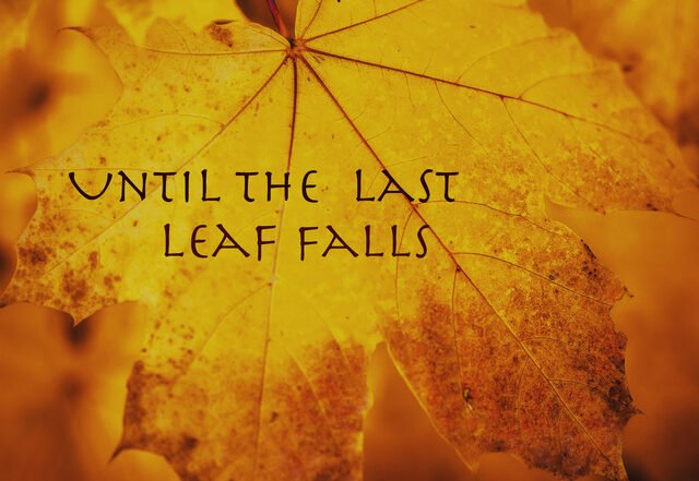 Elliott Waits For No One - Until The Last Leaf Falls | Rock music review, Rock music genre, Nagamag Magazine