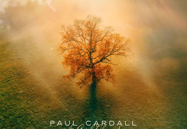 Paul Cardall - A Grief Observed | Neoclassical music review, Neoclassical music genre, Nagamag Magazine