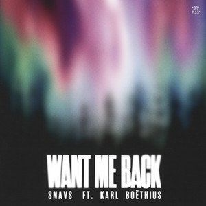 Snavs - Want Me Back (feat. Karl Boëthius) | Pop music review, Pop music genre, Nagamag Magazine