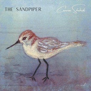 camron-shahidi-the-sandpiper-neoclassical-music-review-nagamag-music-magazine Camron Shahidi – The Sandpiper | Neoclassical music review