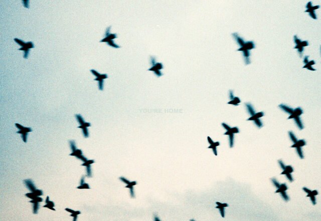 Jack in Water - You're Home | Pop music review, Pop music genre, Nagamag Magazine