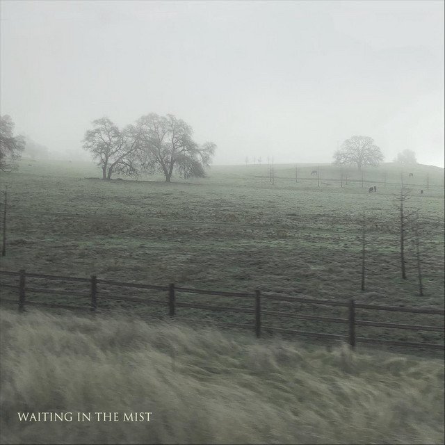 JUIFAN – Waiting In The Mist | Neoclassical music review