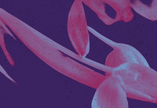 Marcel Sebastian Kaufmann - This Morning With You | Neoclassical music review, Neoclassical music genre, Nagamag Magazine