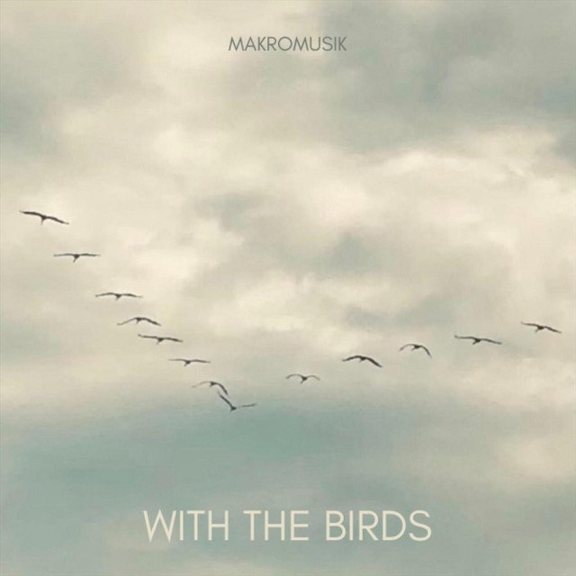 Jan Wilkendorf - With the birds | Electronica music review, Electronica music genre, Nagamag Magazine