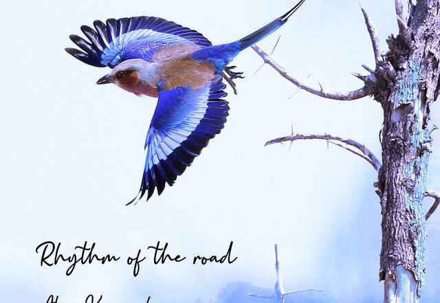 Alex Krawczyk - Rhythm of the Road | Rock music review, Rock music genre, Nagamag Magazine