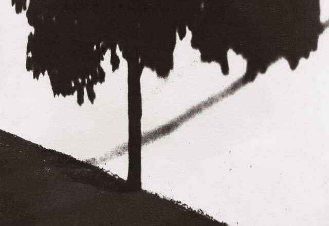 Caméra - Carrousel | Neoclassical music review, Neoclassical music genre, Nagamag Magazine