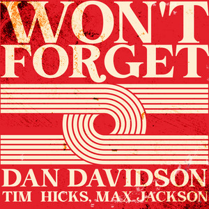 Dan Davidson - Won't Forget (featuring Tim Hicks & Max Jackson) | Rock music review, Rock music genre, Nagamag Magazine