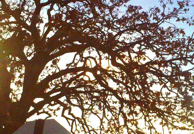 JW Francis - Turtleneck Weather | Rock music review, Rock music genre, Nagamag Magazine